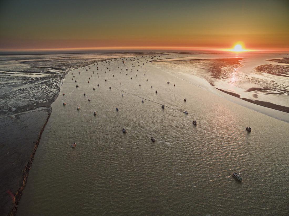 An inside look at Alaskan fisheries