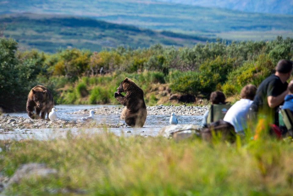 Grizzly Family: A Conversation with Jerry and Caleb Jacques