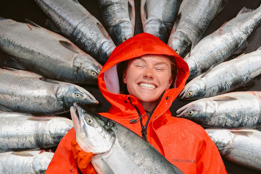 When is wild salmon fresh?