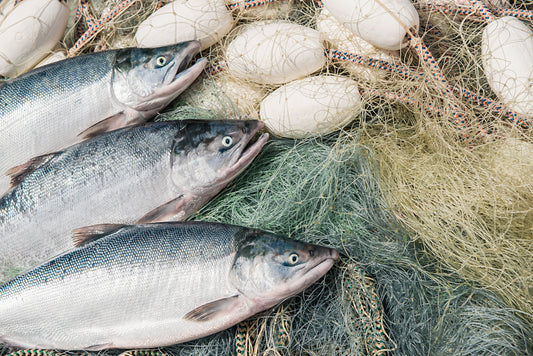 What Type of Salmon Is the Healthiest to Eat?