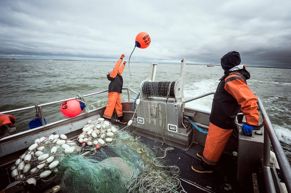 Following the Naknek River’s biggest run ever in 2020, what can we expect during the 2021 season?