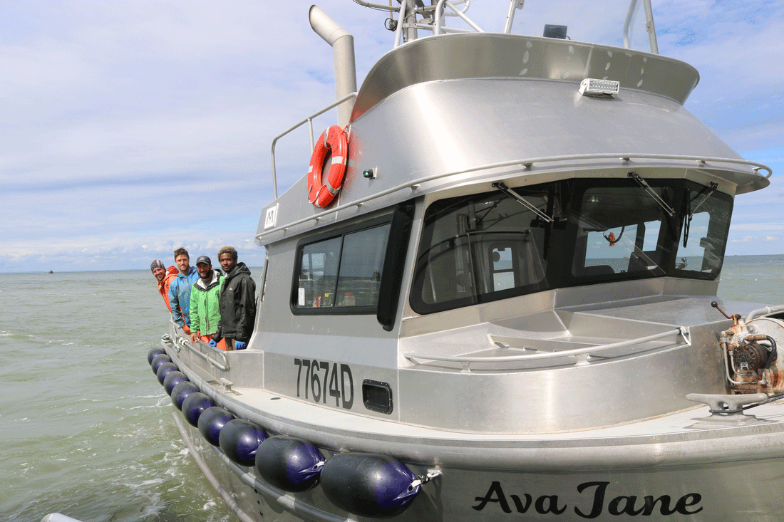 A Bristol Bay Summer Forecast and one for the Pride of Bristol Bay fleet!