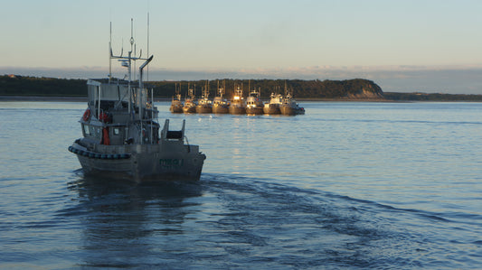 An Interview with Tim Sands, the Alaska Department of Fish & Game Area Management Biologist for the Nushagak River and its tributaries