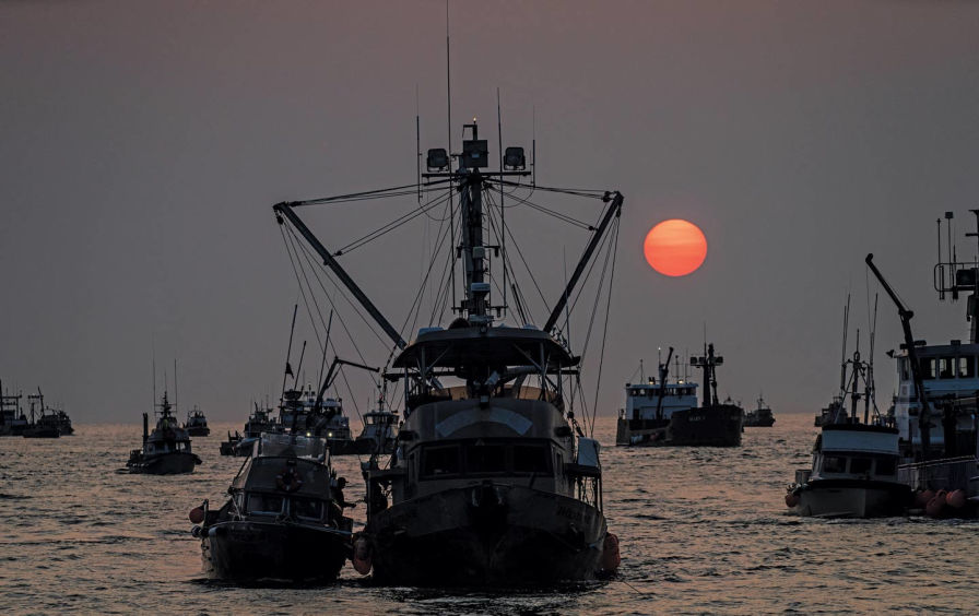 The Strange, Uncertain Fate of One of the World’s Most Valuable Salmon Habitats