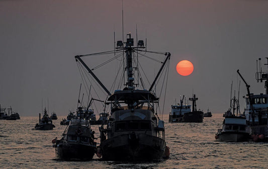 The Strange, Uncertain Fate of One of the World’s Most Valuable Salmon Habitats