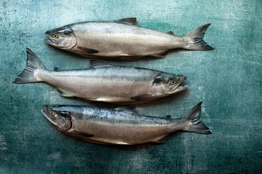 6 Health benefits of salmon for brain, heart, and skin health