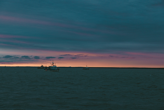 Why Bristol Bay Is the Most Sustainable and Unique Sockeye Salmon Fishery in the World