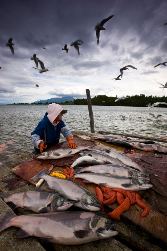Pebble Mine & Alaska Native People