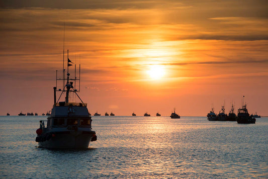 Permanent Protections in View for Bristol Bay
