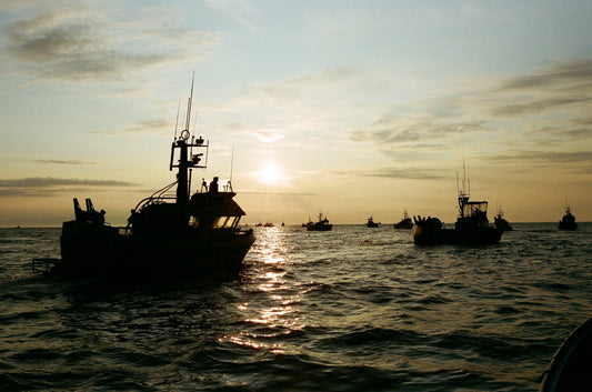Bristol Bay 2025: Where the Sockeye Still Run Wild