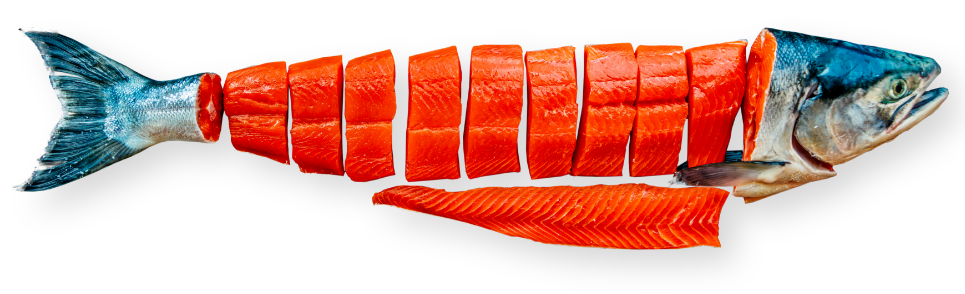 Salmon Care